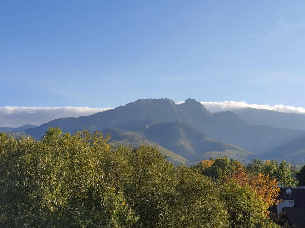Aparthost Tatra Panorama — Photos 3